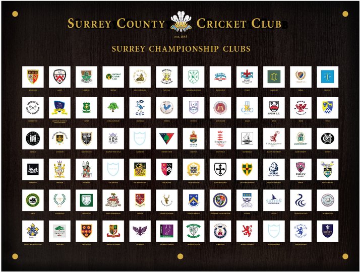 Surrey Clubs' Room