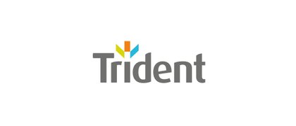 Trident Building Consultancy