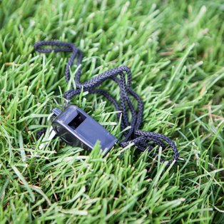 Kyle ends on a high with a try