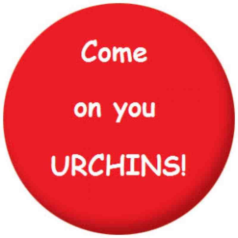 AFC Hornchurch Come on You Urchins Football Badge, Magnet, Keyring, Mirror, Bottle Opener