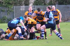 Bangor bounce back against Ballymoney