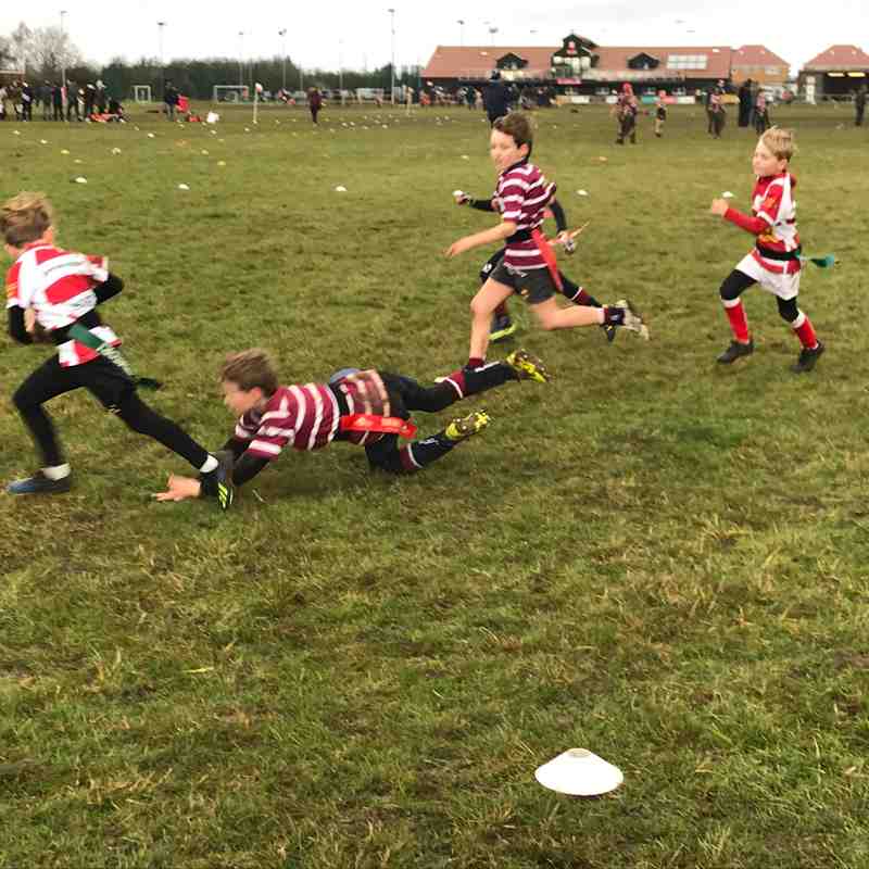 News - Shelford Rugby Club