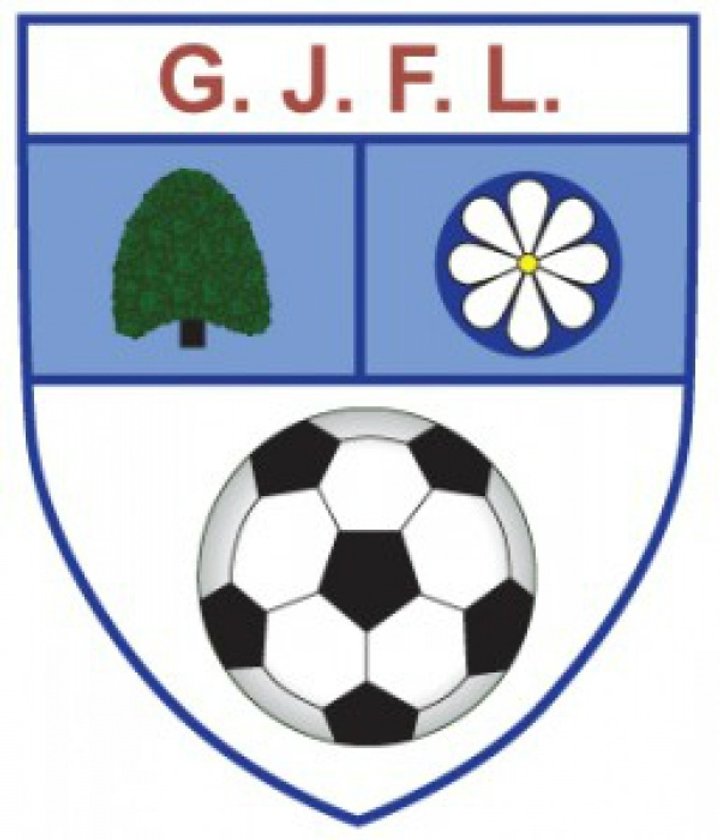 Garforth Junior League Player Registration Form 2014 / 2015 Season ...